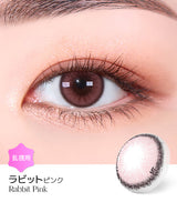 LensMe｜Torica 1Day Holoris 日拋彩色散光隱形眼鏡｜10片