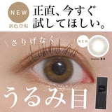 Revia｜1Day Hailey 日拋彩色隱形眼鏡｜10片