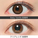 Revia｜1Day Baby Vanilla 日拋彩色隱形眼鏡｜10片