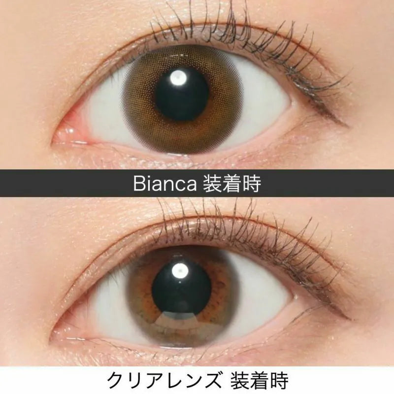 Revia｜1Day Bianca 日拋彩色隱形眼鏡｜10片