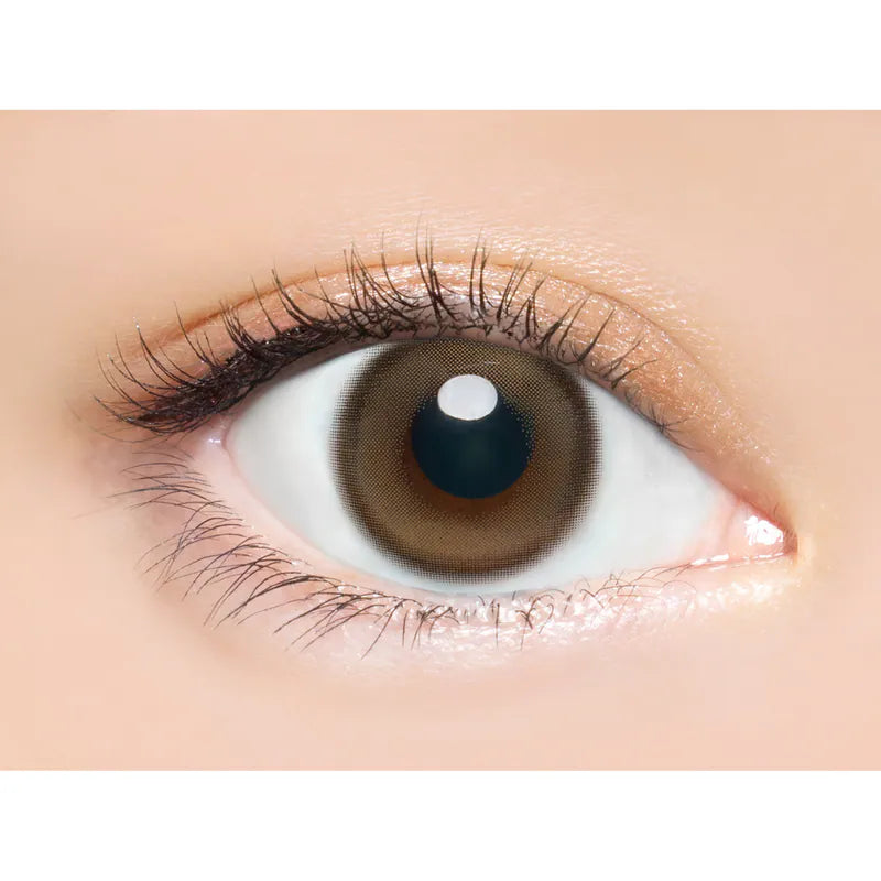 Angelcolor｜Bambi Series 1Day Snow Cocoa 日拋彩色隱形眼鏡｜10片 [固定高光]