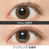 Revia｜1Day Hailey 日拋彩色隱形眼鏡｜10片