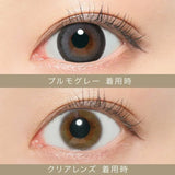 CandyMagic｜Secret Candy Magic Pulmo Gray 日拋彩色隱形眼鏡｜20片