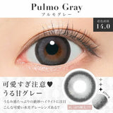 CandyMagic｜Secret Candy Magic Pulmo Gray 日拋彩色隱形眼鏡｜20片