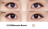 FreshKon｜Alluring Eyes 注目啡 Winsome Brown 日拋彩色隱形眼鏡｜30片