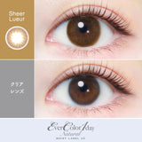 EverColor｜Natural Moist Lable UV 日拋彩色隱形眼鏡｜20片