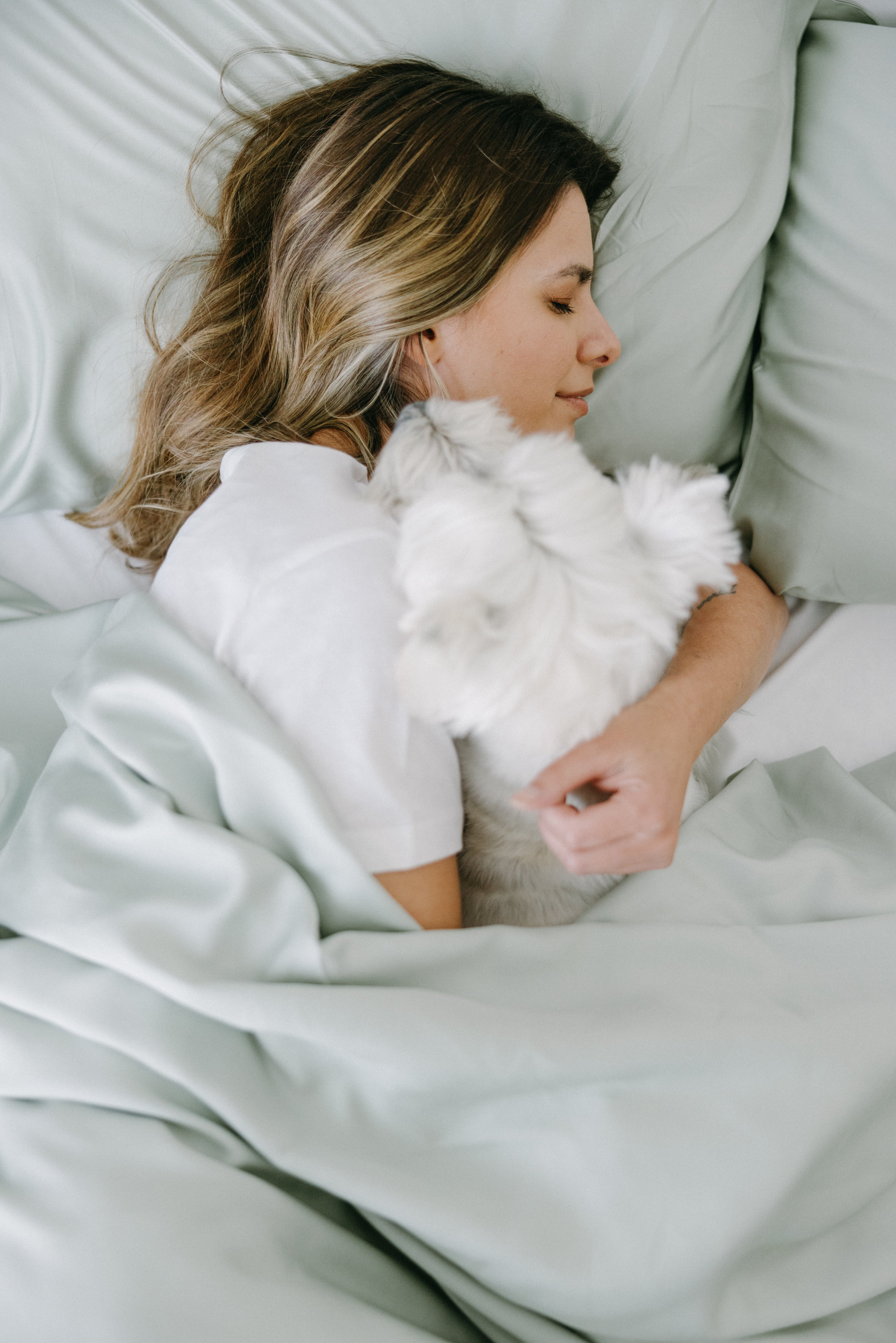 Bamboo Dog Bed Cover