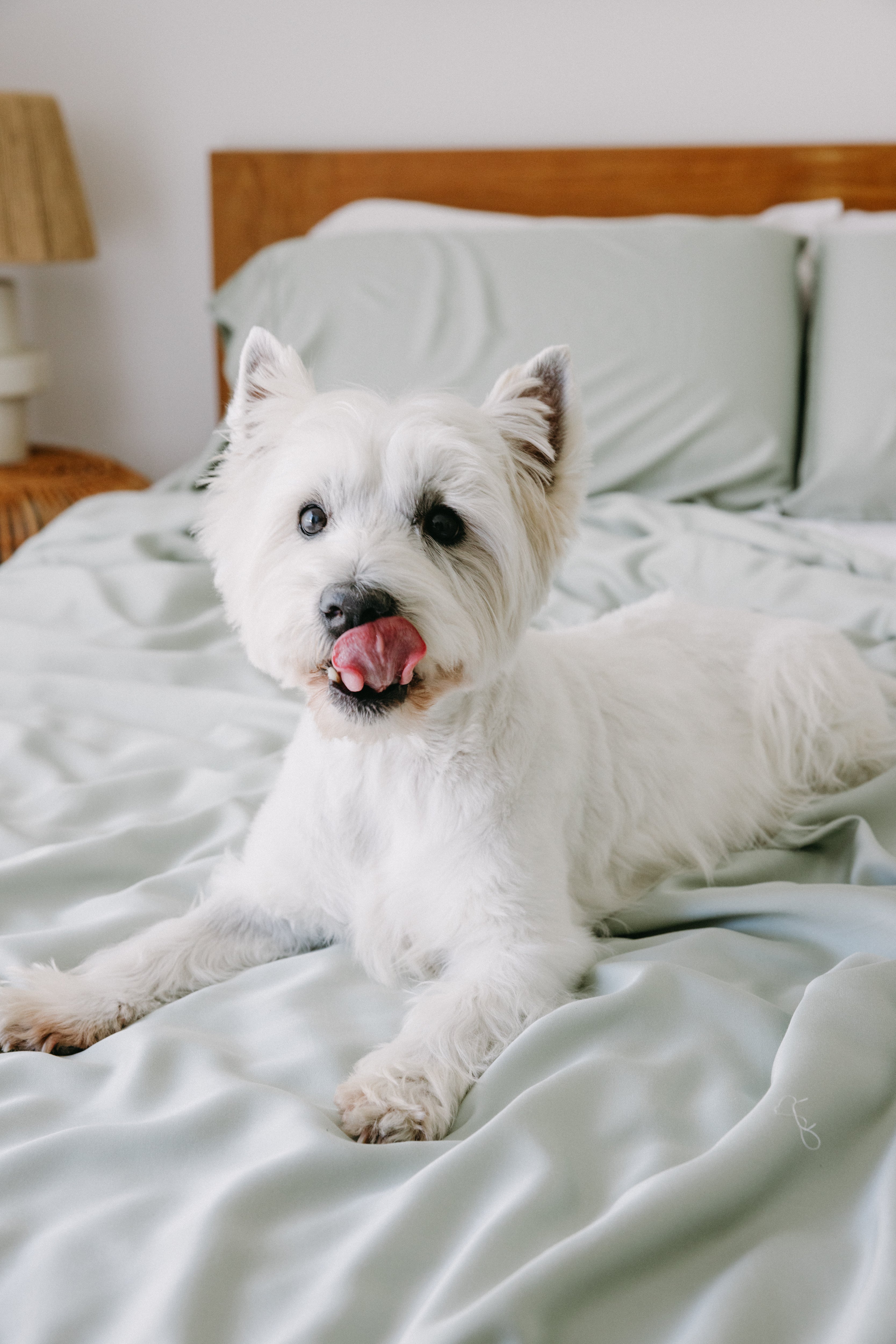 Bamboo Dog Bed Cover