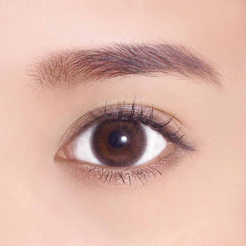 Revia｜1Day Sheer Sable 日拋彩色隱形眼鏡｜10片